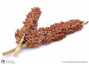 Bird Treats: Sorghum Spray