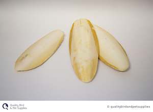 Bird Health: Cuttlefish