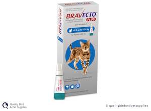 Cat Health: Bravecto Plus For Cats