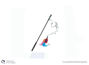 Cat 1: JW Cataction Wanderfuls