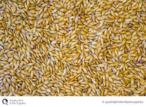 Budgie: NZ Canary Seed - Topflite