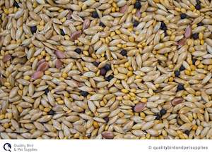 Canary: Canary Mix - Topflite