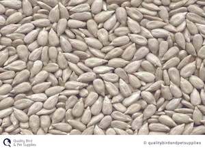 Dove: Sunflower Hulled