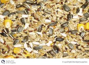 Parrot Ring Necked: Parrot Mix - Topflite