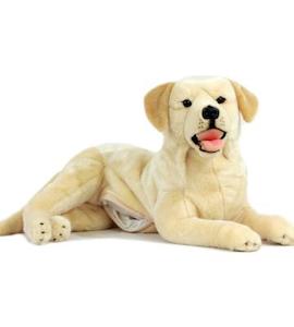 Disability Solutions: Bella (with pocket)