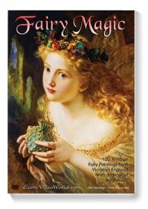 Disability Solutions: Fairy Magic Ambient DVD