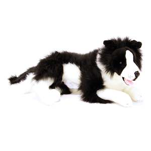 Memory Loss Solutions: Blitz the Border Collie (with pocket) 62cm