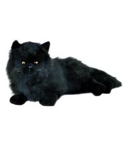 Memory Loss Solutions: Onyx Black Cat (Chantilly) 38cm WEIGHTED