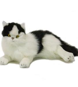 Memory Loss Solutions: Woodrow 36 cm Long Haired Cat WEIGHTED