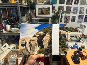 Prints: Senius print