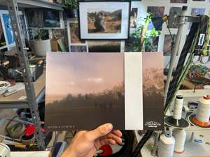 Prints: Spittle spirit print