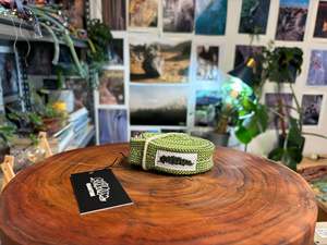Kiwi belt