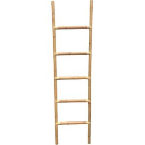 Cane-line Climb Ladder