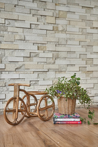 Products: Tricycle Planter