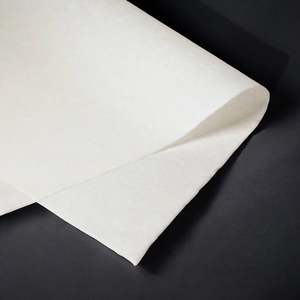 Hidakawashi Kozo Mulberry 25gsm Paper Sheet 64 x 100cm