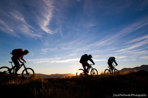 Rental Bikes