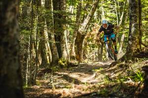 10 Day Trail Fiend