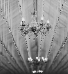 Products: Wedding Installation Service » Queenstown Wedding Hire