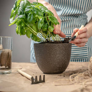 Products: 4 Teeth Rake