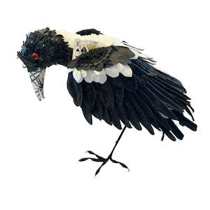 Card Playing Magpie #3