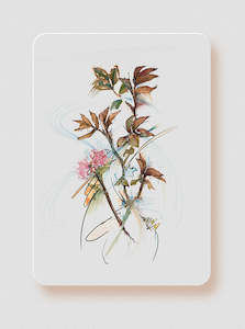 Limited Edition Prints: Arose