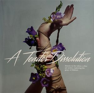 Art Magazines Books: A Tender Dissolution