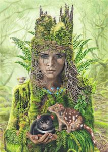 Collector S Preview: Forestborn