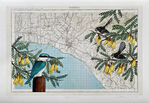 Hāwera Kotare & Piwakawaka