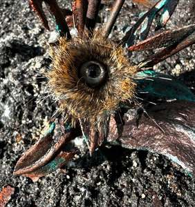 Original Sculptures: Rebirth