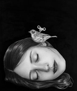 The Wind-Up Bird