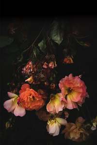 Current Exhibition: Floral Study No. 1