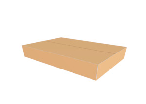 Cartons: Carton 472x322x98 Heavy Duty (boxa2)