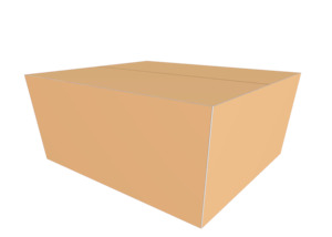 Cartons: Carton 260x200x150mm Heavy Duty (size 1)