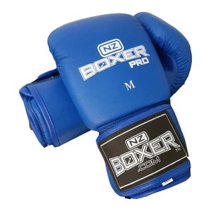 Gym Gear: Boxer Bag Mitts