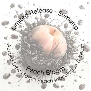 Coffee: Aurora Dew Momo - Peach Inoculation & Yeast