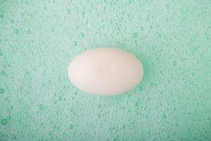 Products: Gardenia - (Naked)