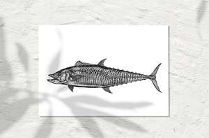 Sea Life Collection: Spanish Mackerel, INK 2025