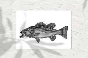 Sea Life Collection: Hapuka, B&W 2024