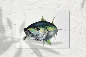 Yellowfin Tuna colour 2022