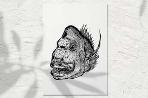 Sea Life Collection: Snapper 2022