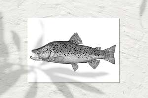 Freshwater Collection: Brown Trout, INK 2023