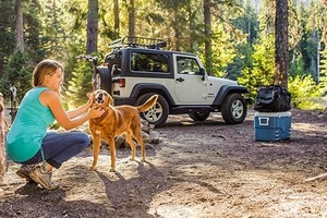 Products: Equipment Hire - Rack & Roof