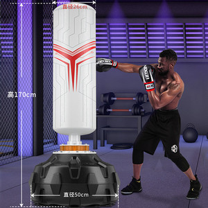 Freestanding Punching Bag Boxing Bag RacknCo