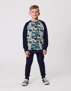 Size 1: RD2124 DINOS RAGLAN CREW