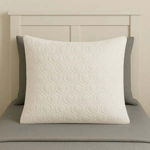 Bed Protectors: Euro pillow protector