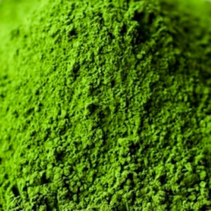 ORGANIC SUPERGREENS POWDER