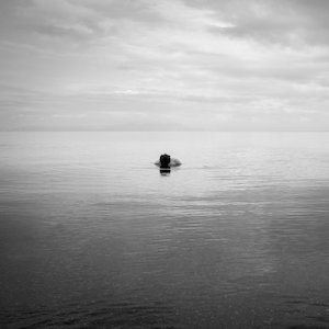 Oblivious - Rāhera Creative