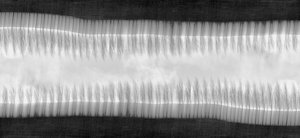 Products: Surrounded, yet alone - Rāhera Creative