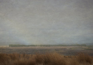 Desert Road - Rāhera Creative