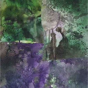 Jo Dalgety: Silver lichen (Ngātea)